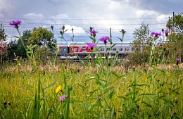 РЖД добавили в поезда на юг ретровагоны, но дефицит билетов остается