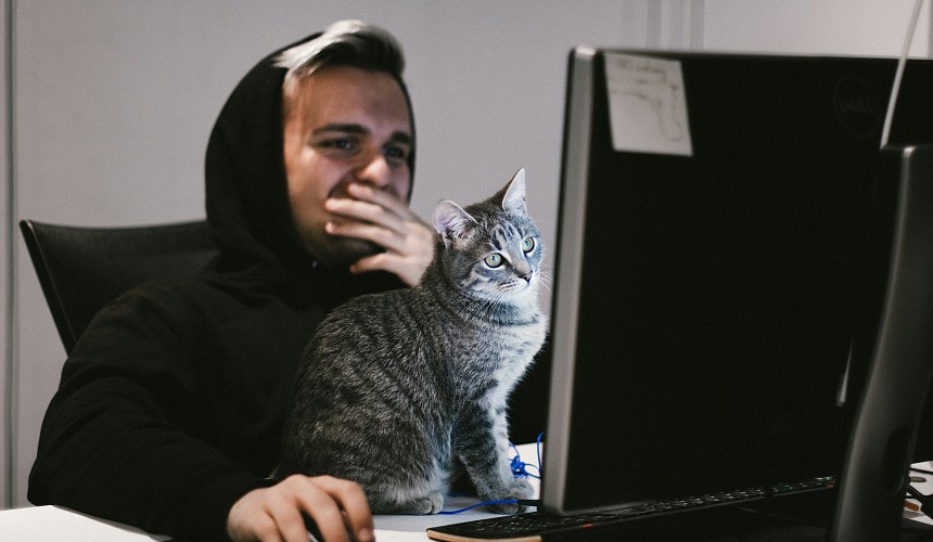 Котикам туристов открыли онлайн-регистрацию на рейс