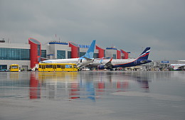 В России хотят упростить покупку льготных авиабилетов