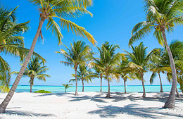 Эксперты разъяснили, почему не дешевеют туры в Доминикану