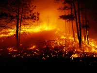 На Родосе горели леса