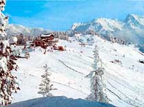 В Австрию – на «немцах»