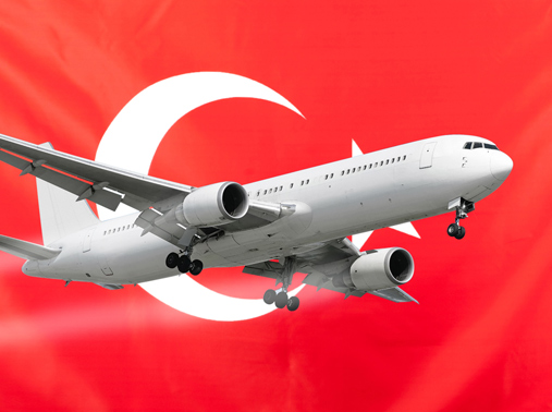 Турция утвердила 63 заявки российских авиакомпаний на чартерные рейсы