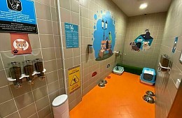 В аэропортах предложили сделать комнаты для кошек и собак 