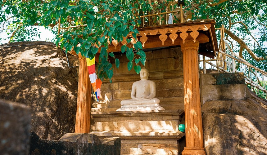 Въездную карту в Шри-Ланку теперь можно заполнить онлайн