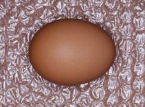 РОСНО выплачивает, АТОР делает скидки