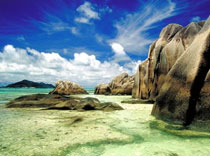 В апреле экзотика дремлет