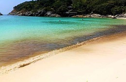 В провинции Пхукет проверяют качество воды в море близ популярных курортов