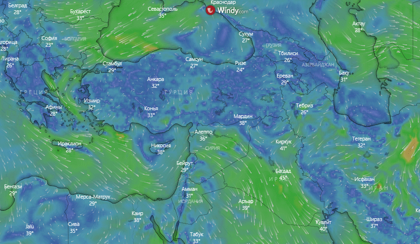 Петросян напугал туристов в Турции «аммиачным облаком»