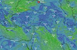 Петросян напугал туристов в Турции «аммиачным облаком»