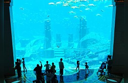 Отели Дубая выпускают спецпредложения для туристов