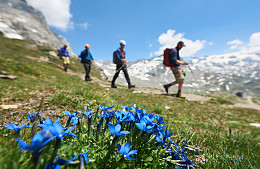 Гидов-нелегалов отодвигают от гор, пещер и других сложных маршрутов