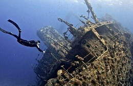 В Хургаде для развития дайв-туризма создают искусственные рифы