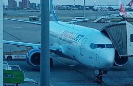 Туристам напомнили, как отличить рейсы AnadoluJet от Turkish Airlines