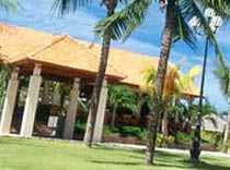 Вьетнамские «звезды»