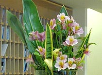 «Крокус Турс» расцвел