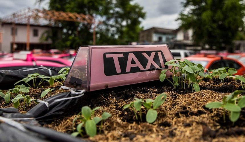 Брошенные в Бангкоке такси превратились в огороды