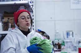 На Кубани птиц приходится спасать не только от мазута, но и от самих спасателей
