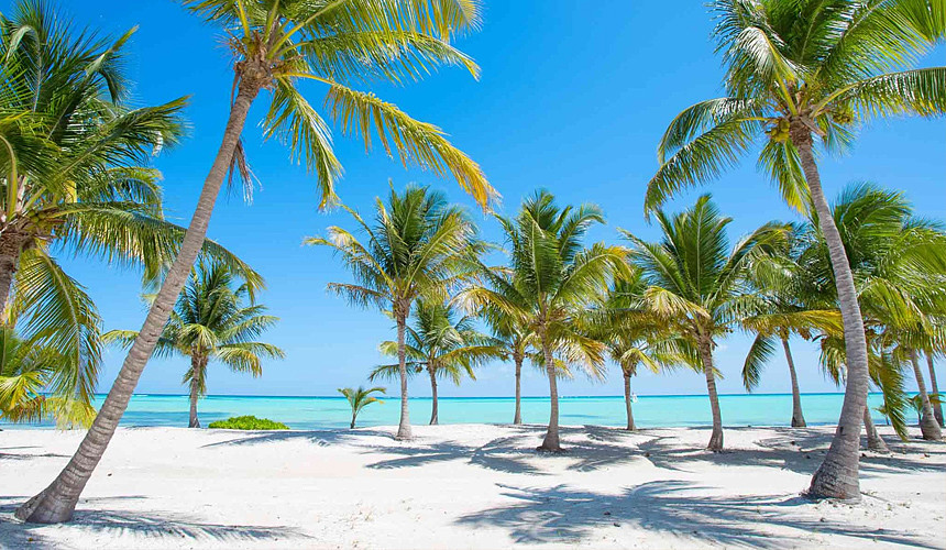 Эксперты разъяснили, почему не дешевеют туры в Доминикану