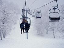 Турагенту на заметку