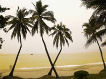 «Уральские» полетят на Хайнань