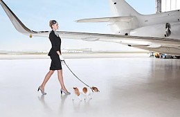 Стало известно название нового туроператора, создаваемого в России совладельцем ANEX Tour