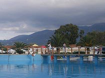 Mitsis замахнулся на 20 тысяч