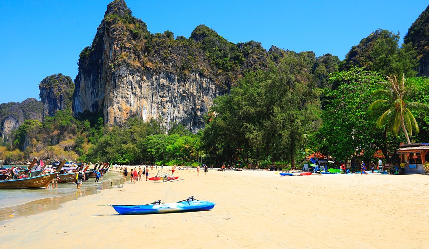 СМИ: в Таиланде всплеск заболеваемости лихорадкой чикунгунья