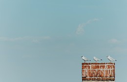 «Электронную путевку» упростят к лету