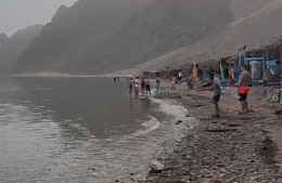 Акула снова напала на туриста в Египте