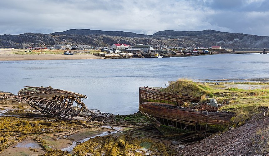 В Териберке туриста покусала собака из-за курицы гриль