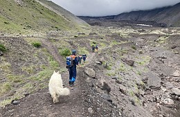 Турист из Санкт-Петербурга нашел смерть на камчатском вулкане