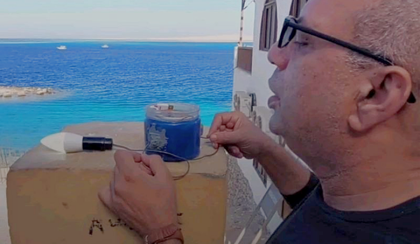 В Хургаде защитить туристов от акул предлагают новым изобретением