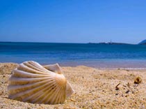 Полыхнет ли Сардиния?