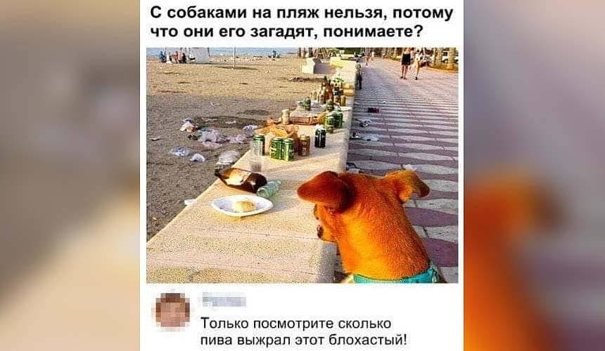 В России вступил в силу запрет приходить на пляж с собакой