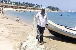 В Хургаде снимают защитные сети от акул на пляжах отелей