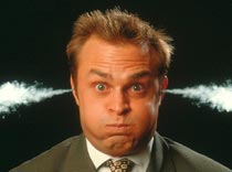 Опрос. Новый год за «просто так»: где и почем?