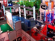 Выставки почти готовы