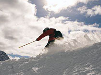 Лион готовы купить оптом