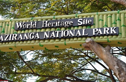 Российского туриста спасли от зверей в джунглях Индии