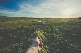 Кешбэк в России потеснил скидки: туристам обещают вернуть часть стоимости проживания в отелях