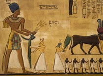 «Гарана» и его партнеры