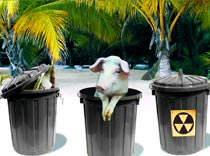 Разоблачил плагиат? Получи флэшку!