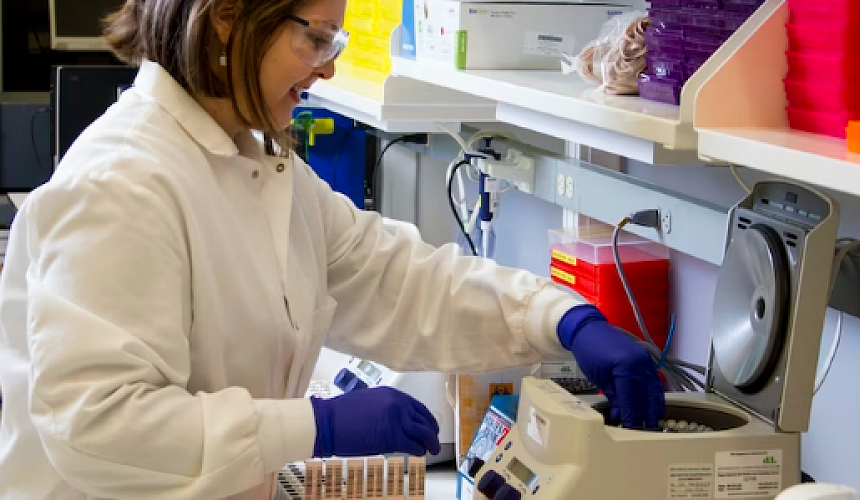 Туристы привезли лихорадку денге из Египта