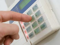 Golden Eagles вышел на связь