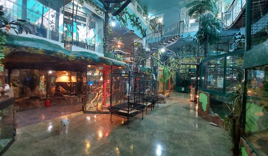 Евпатория потеряла одну из главных достопримечательностей