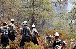 Пожар в турецком Мармарисе до сих пор не удалось потушить