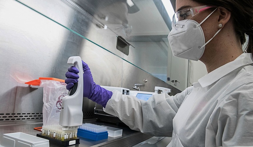 Лихорадка Денге все-таки пришла в Египет