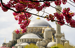 Билеты в Дубай  после майских праздников дешевеют в 2 раза