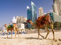 Сезон в зачет